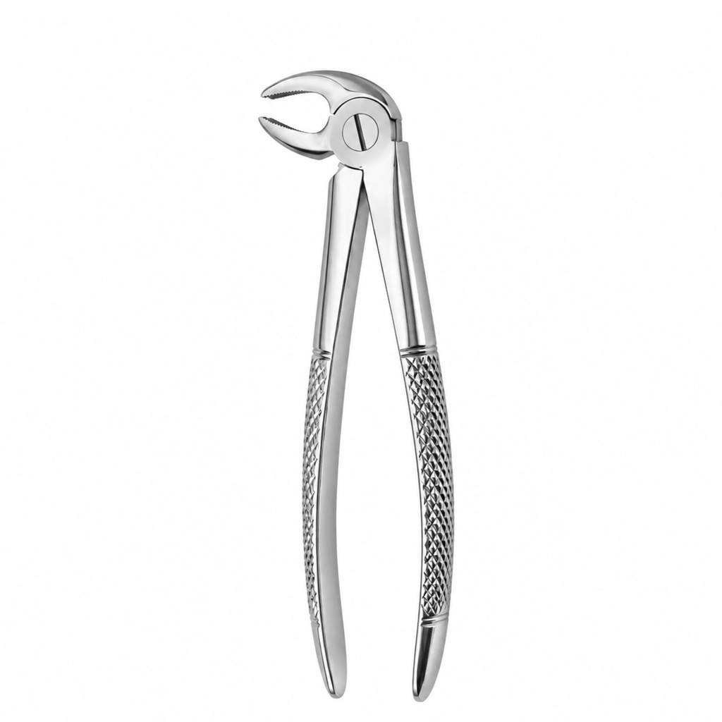 Lower Molars, Right | Standard Extraction Forcep | ErgoDenta