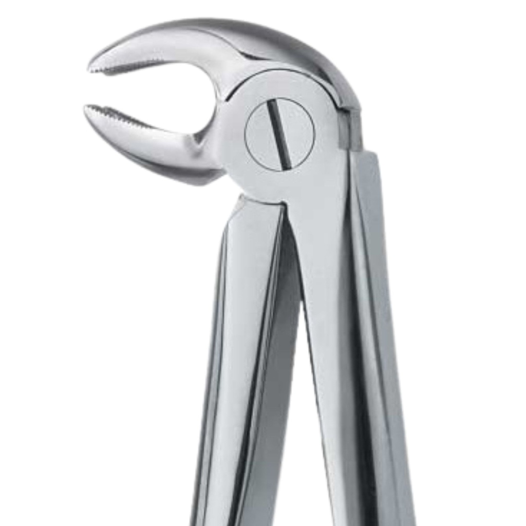 Lower Molars, Right | Standard Extraction Forcep | ErgoDenta