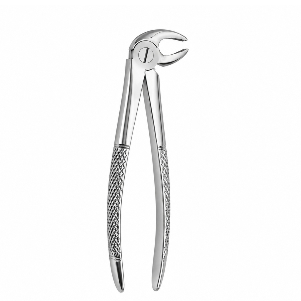 Lower Molars, Right | Standard Extraction Forcep | ErgoDenta