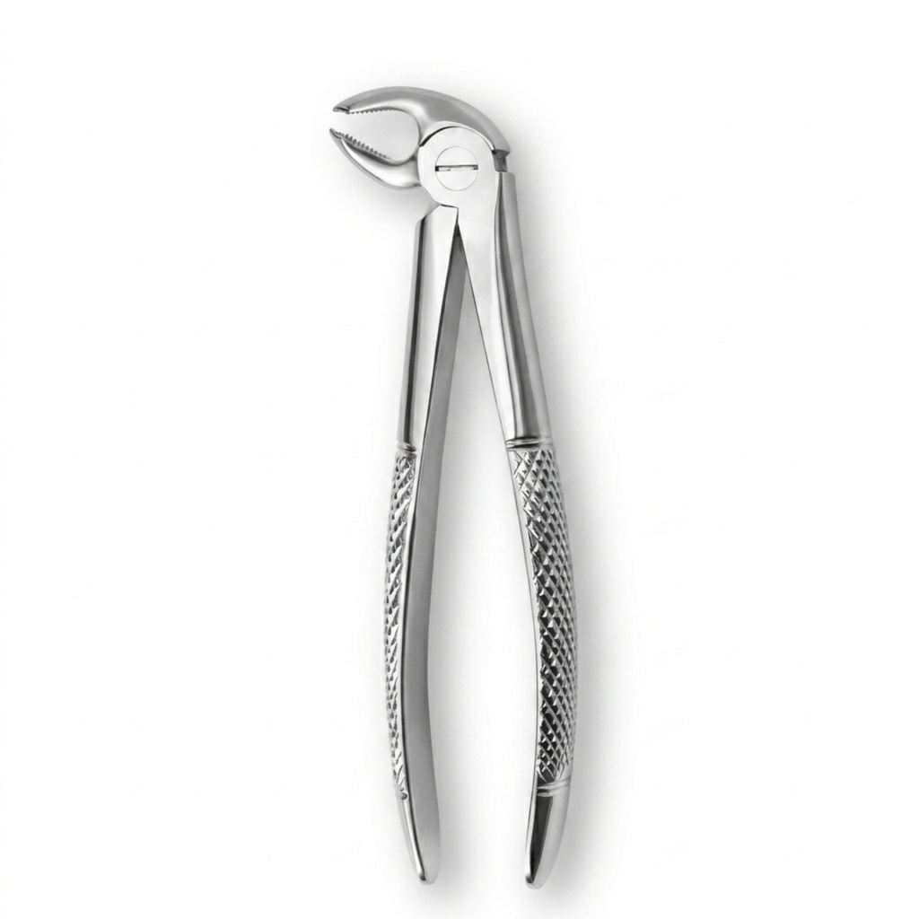 Lower Molars, Left | Standard Extraction Forcep | ErgoDenta