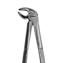 Lower Molars, Left | Standard Extraction Forcep | ErgoDenta