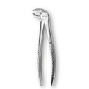 Lower Molars, Left | Standard Extraction Forcep | ErgoDenta