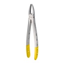 Upper Front | Diamond Extraction Forcep | ErgoDenta