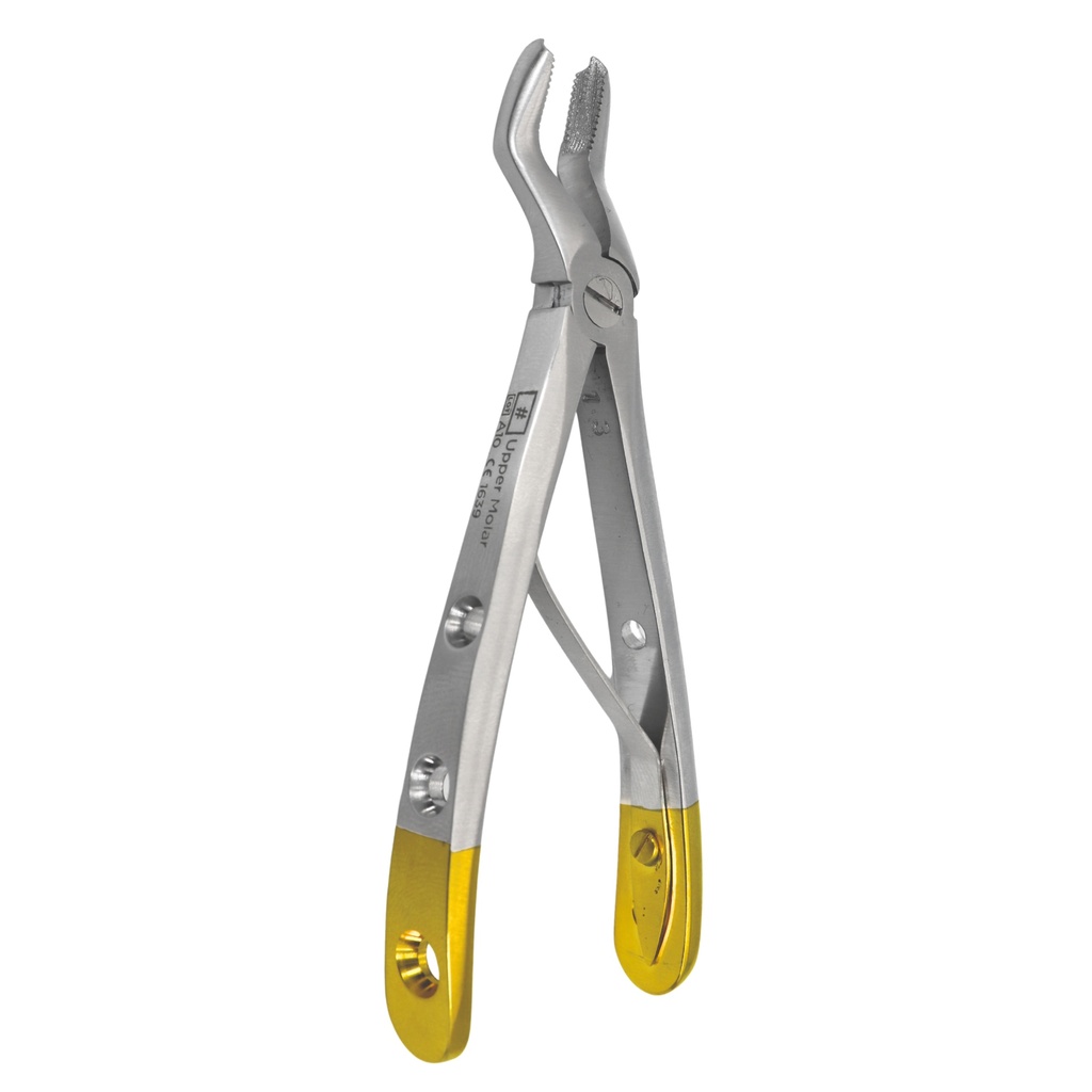 Fig. 3 Upper Molars | Diamond Child Extraction Forcep | ErgoDenta