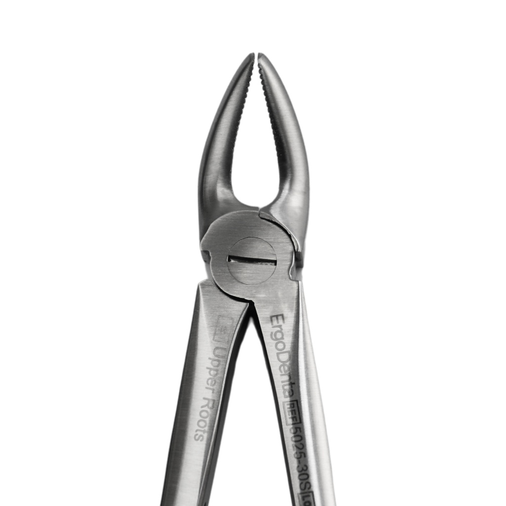 Upper Front | Diamond Extraction Forcep