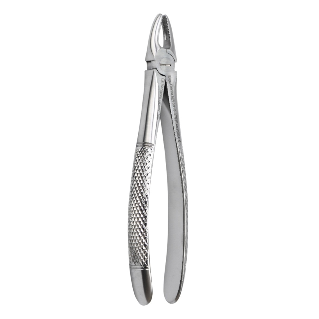 Fig. 37 Incisors, Upper Jaw | Junior Extraction Forceps | ErgoDenta