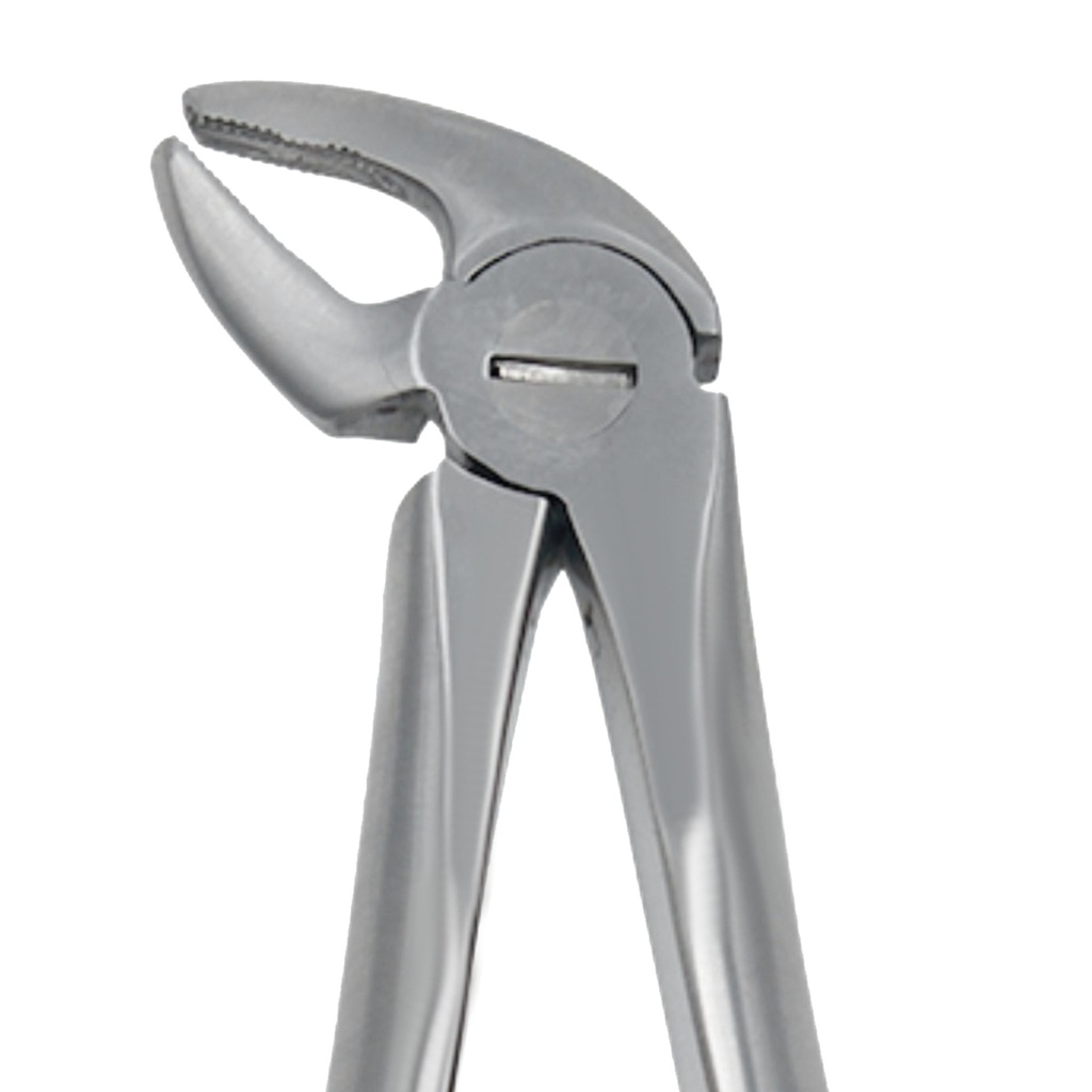 Fig. 38 Incisors and Canines, Lower Jaw | Junior Extraction Forceps