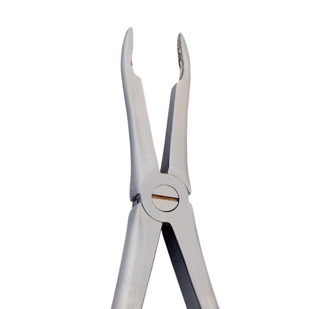 Upper Roots | Diamond Extraction Forcep
