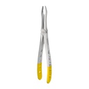 Upper Roots | Diamond Extraction Forcep | ErgoDenta