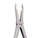 Upper Roots | Diamond Extraction Forcep