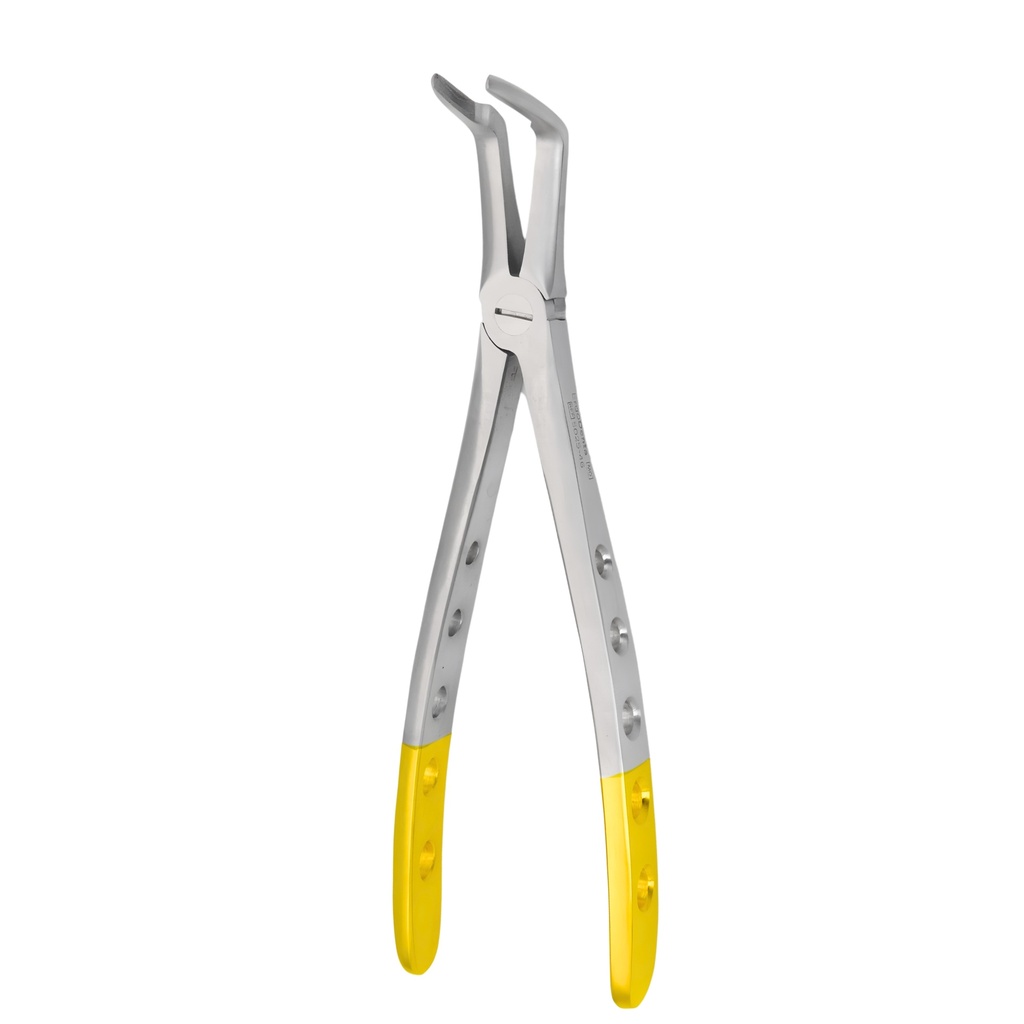 Upper Roots | Diamond Extraction Forcep | ErgoDenta
