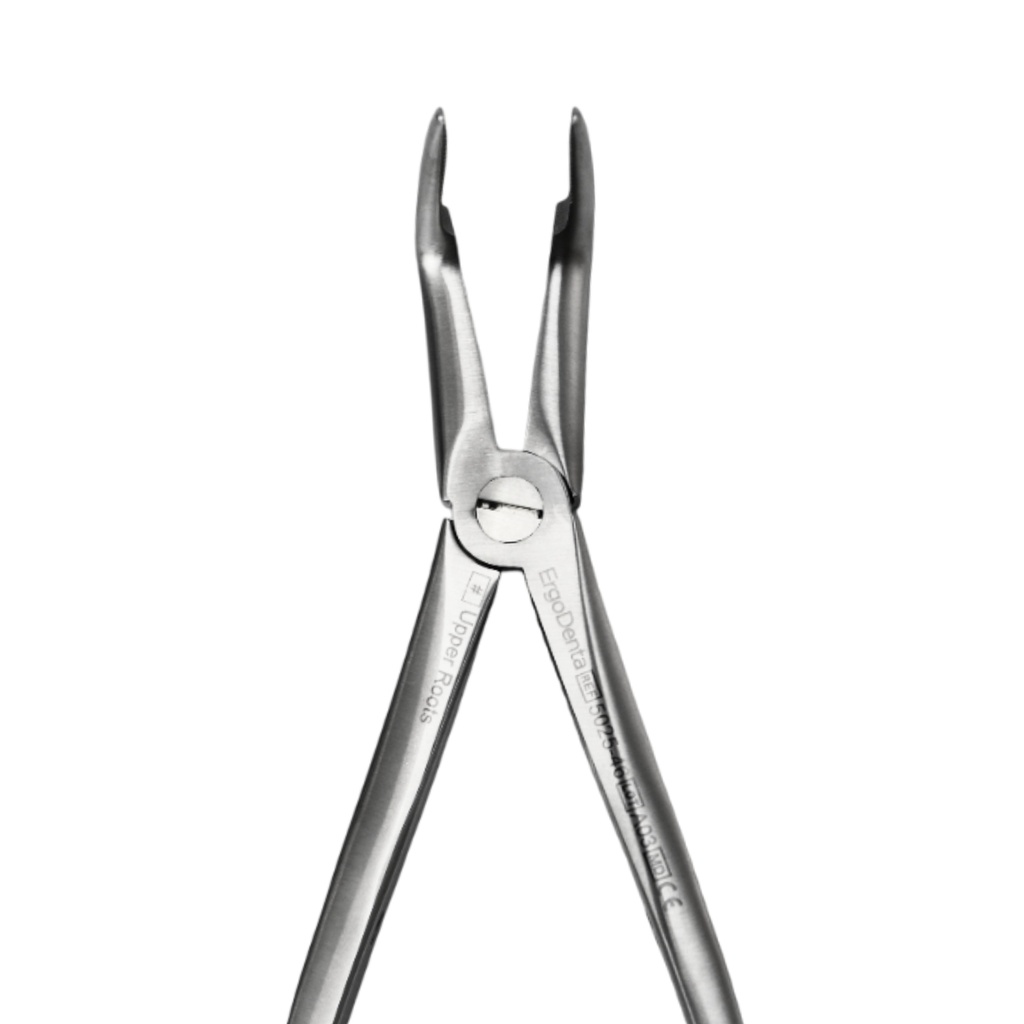 Upper Roots | Diamond Extraction Forcep