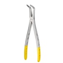 Upper Roots | Diamond Extraction Forcep | ErgoDenta