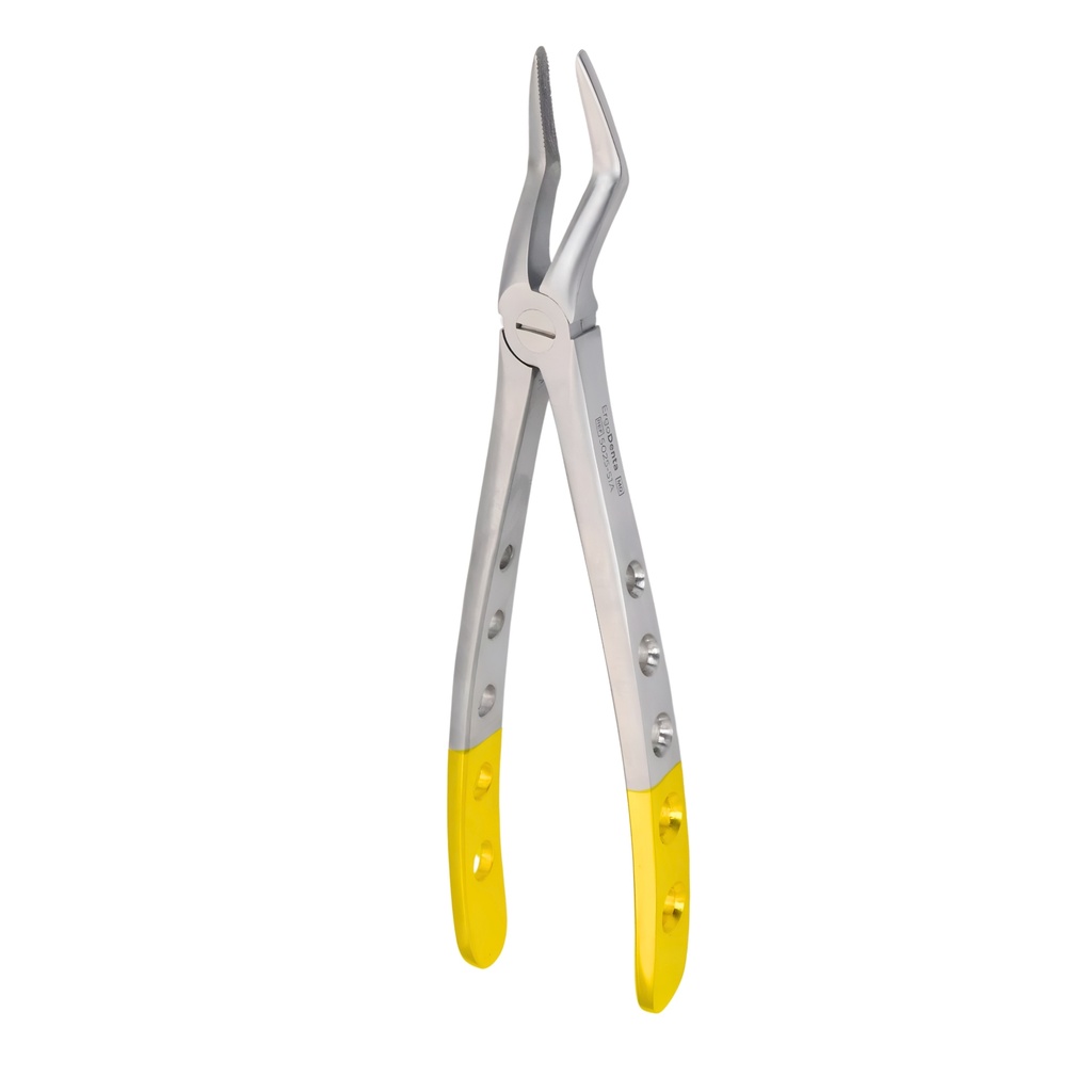 Upper Roots | Diamond Extraction Forcep | ErgoDenta