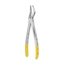 Upper Roots | Diamond Extraction Forcep | ErgoDenta