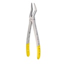 Upper Roots | Diamond Extraction Forcep | ErgoDenta
