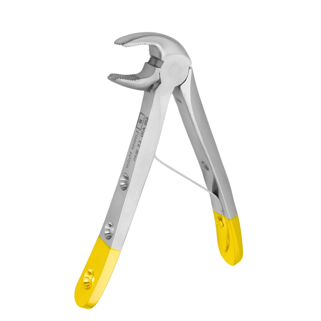 Fig. 6, Lower Molars | Diamond Child Extraction Forcep | ErgoDenta
