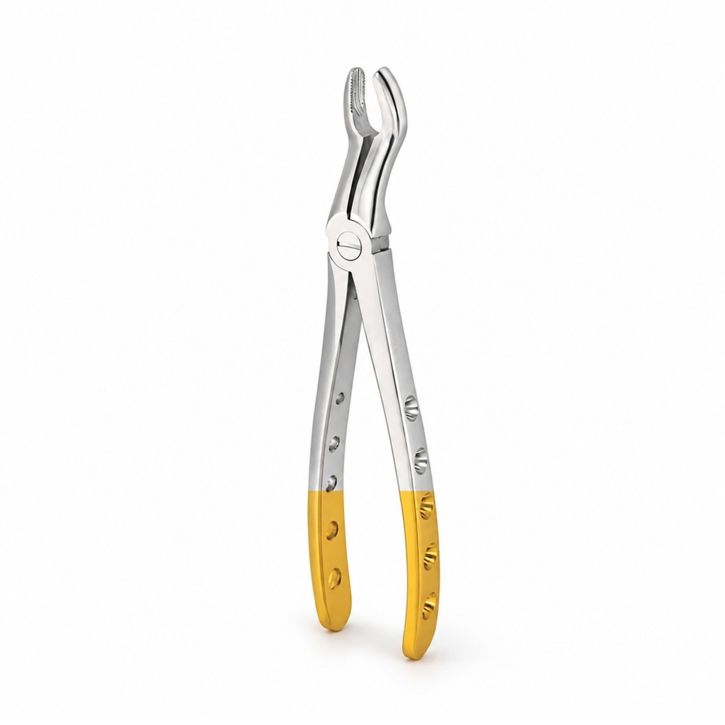 Upper Molars for Upper Wisdom Teeth | Diamond Extraction Forcep | ErgoDenta