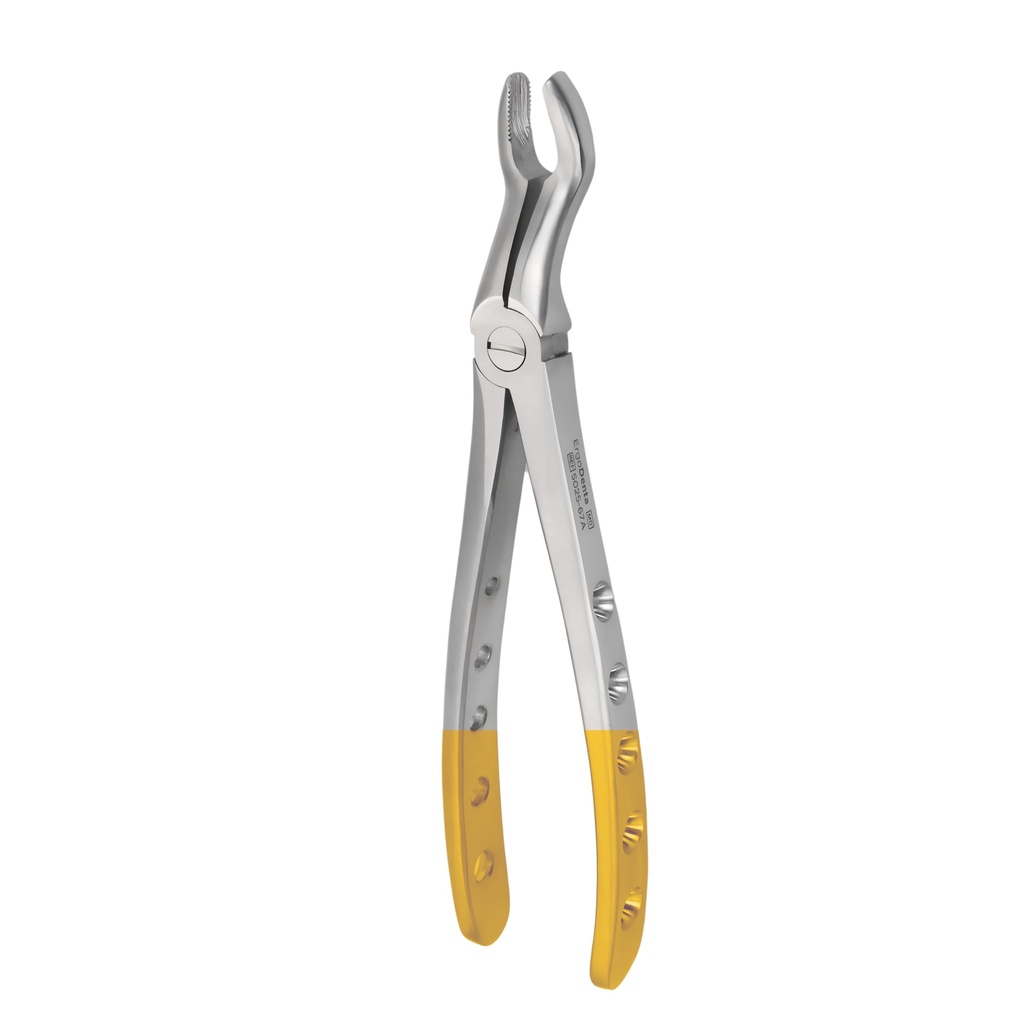 Upper Molars for Upper Wisdom Teeth | Diamond Extraction Forcep | ErgoDenta