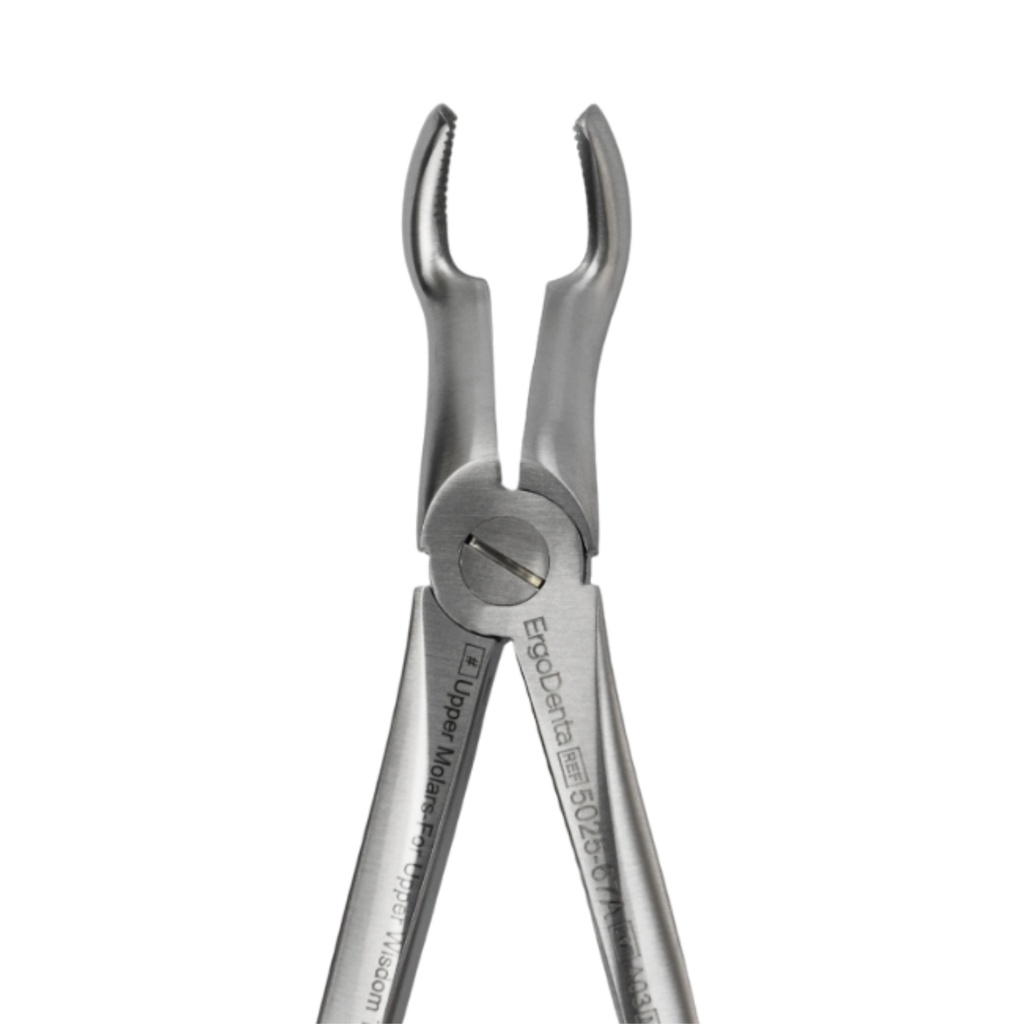 Upper Molars for Upper Wisdom Teeth | Diamond Extraction Forcep