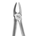 Fig. 7K Upper Jaw Molars and Incisors | Junior Extraction Forceps