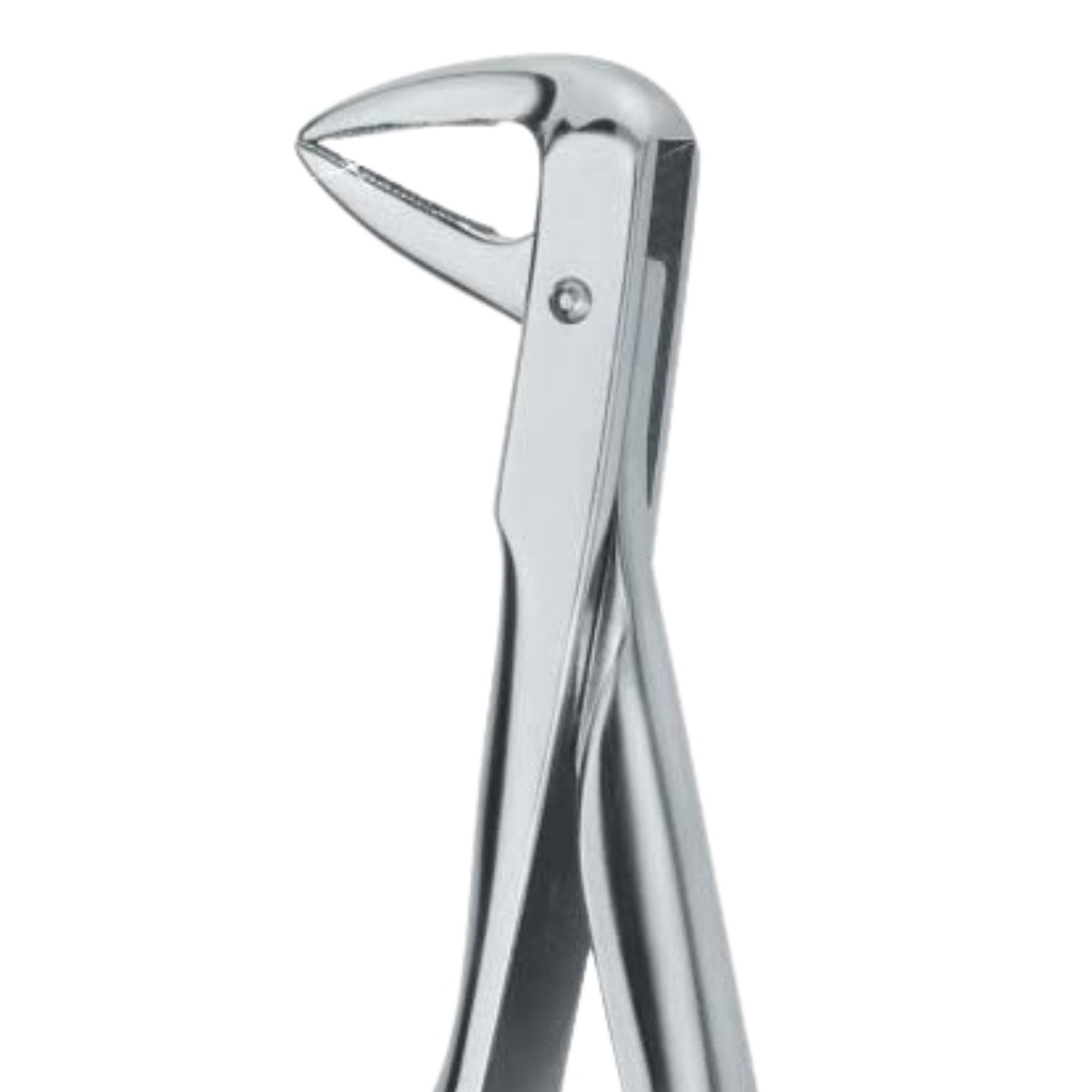 Lower Roots | Diamond Extraction Forcep