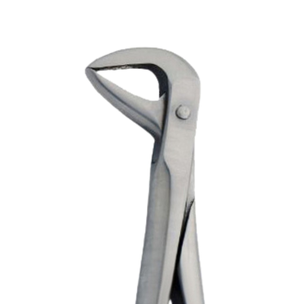 Lower Molars | Diamond Extraction Forcep | ErgoDenta