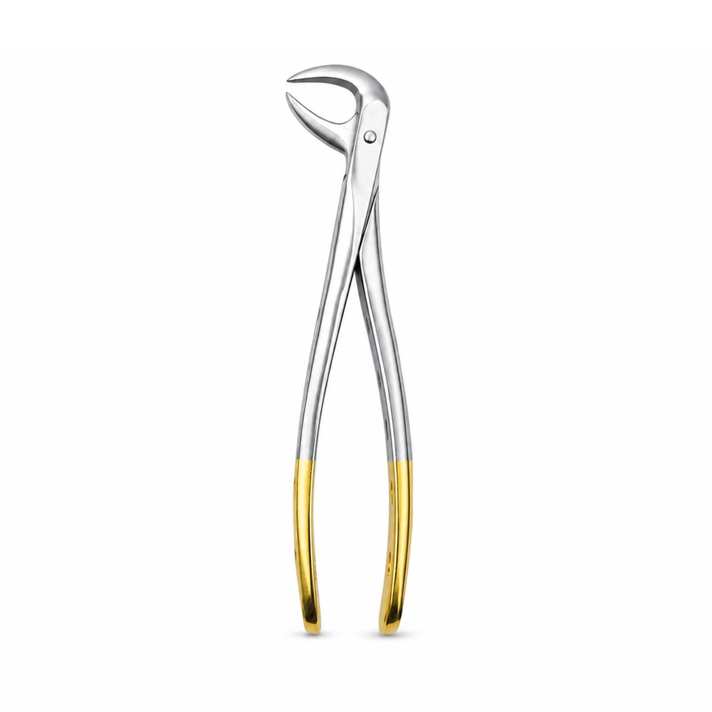 Lower Molars | Diamond Extraction Forcep | ErgoDenta