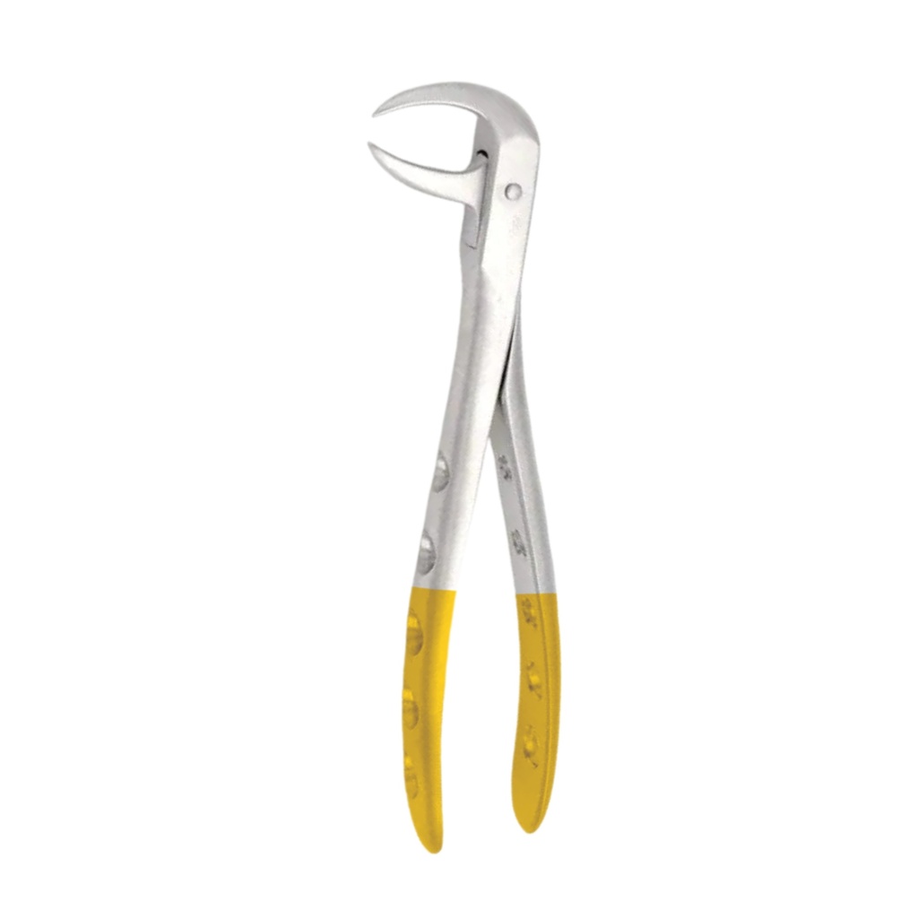 Lower Molars | Diamond Extraction Forcep | ErgoDenta