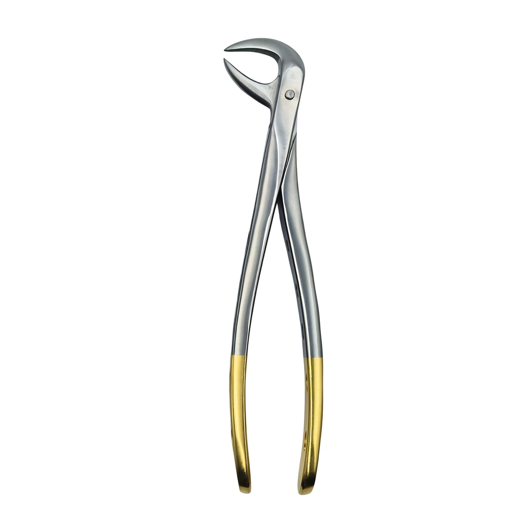 Lower Molars | Diamond Extraction Forcep | ErgoDenta