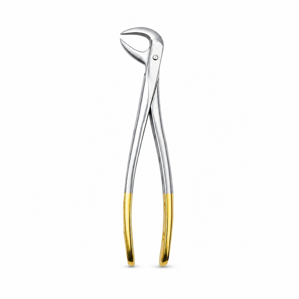 Lower Molars | Diamond Extraction Forcep | ErgoDenta