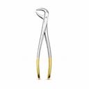 Lower Molars | Diamond Extraction Forcep | ErgoDenta