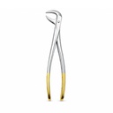 Lower Molars | Diamond Extraction Forcep | ErgoDenta