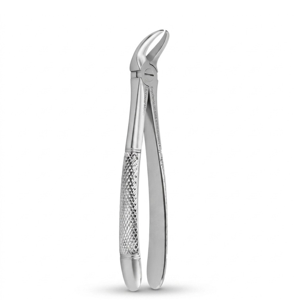 Lower Molars | Standard Extraction Forcep | ErgoDenta
