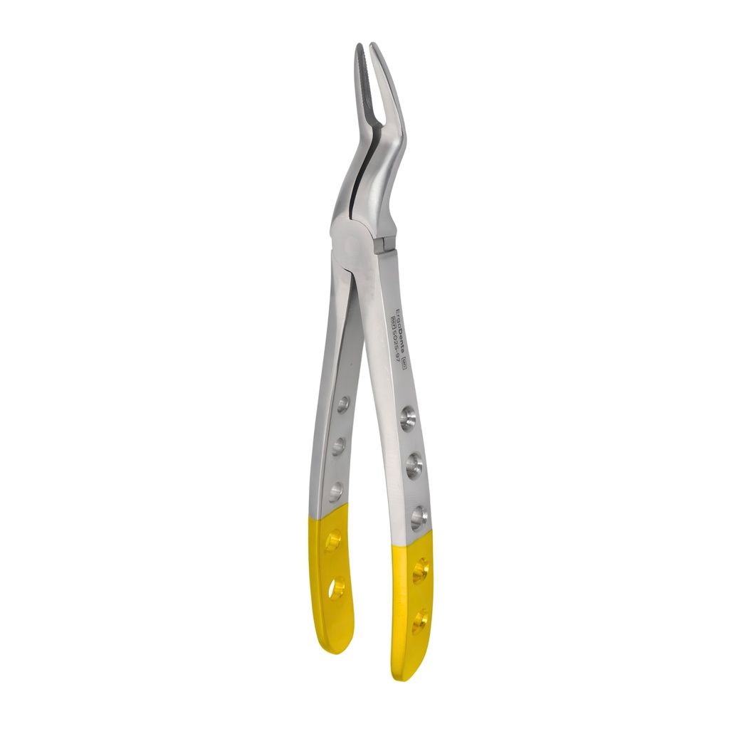 Upper Roots | Diamond Extraction Forcep | ErgoDenta