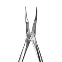 Fig. 97. Upper Roots