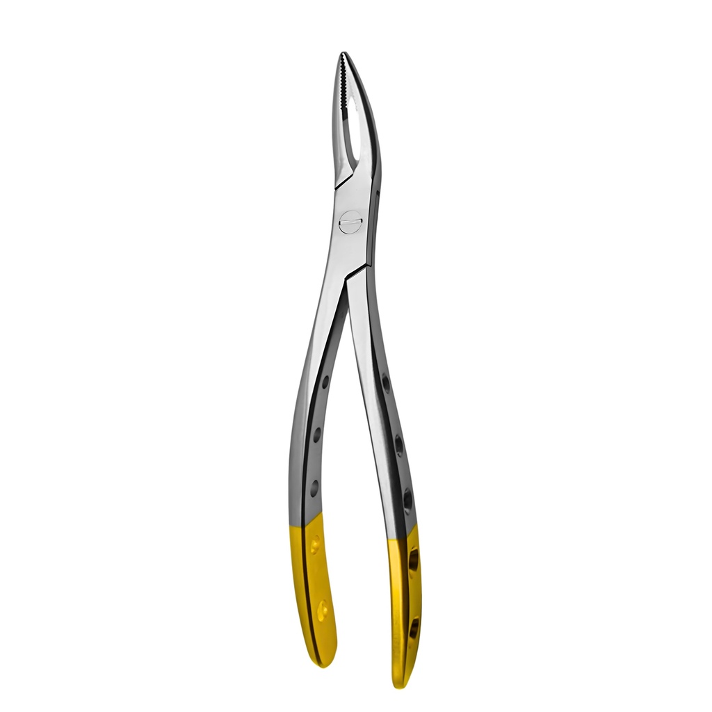Witzel (Upper Roots) | Diamond Extraction Forcep | ErgoDenta