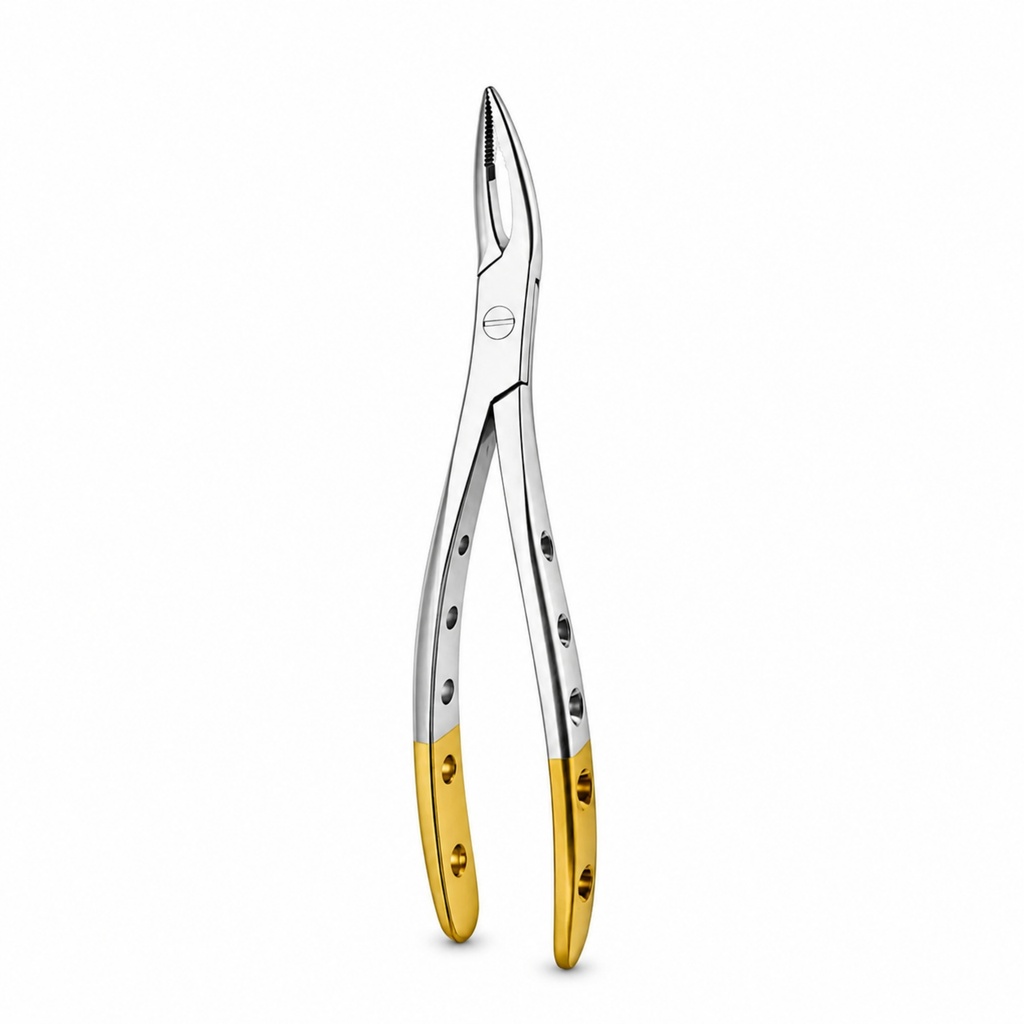 Witzel (Upper Roots) | Diamond Extraction Forcep | ErgoDenta