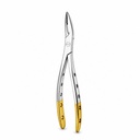 Witzel (Upper Roots) | Diamond Extraction Forcep | ErgoDenta