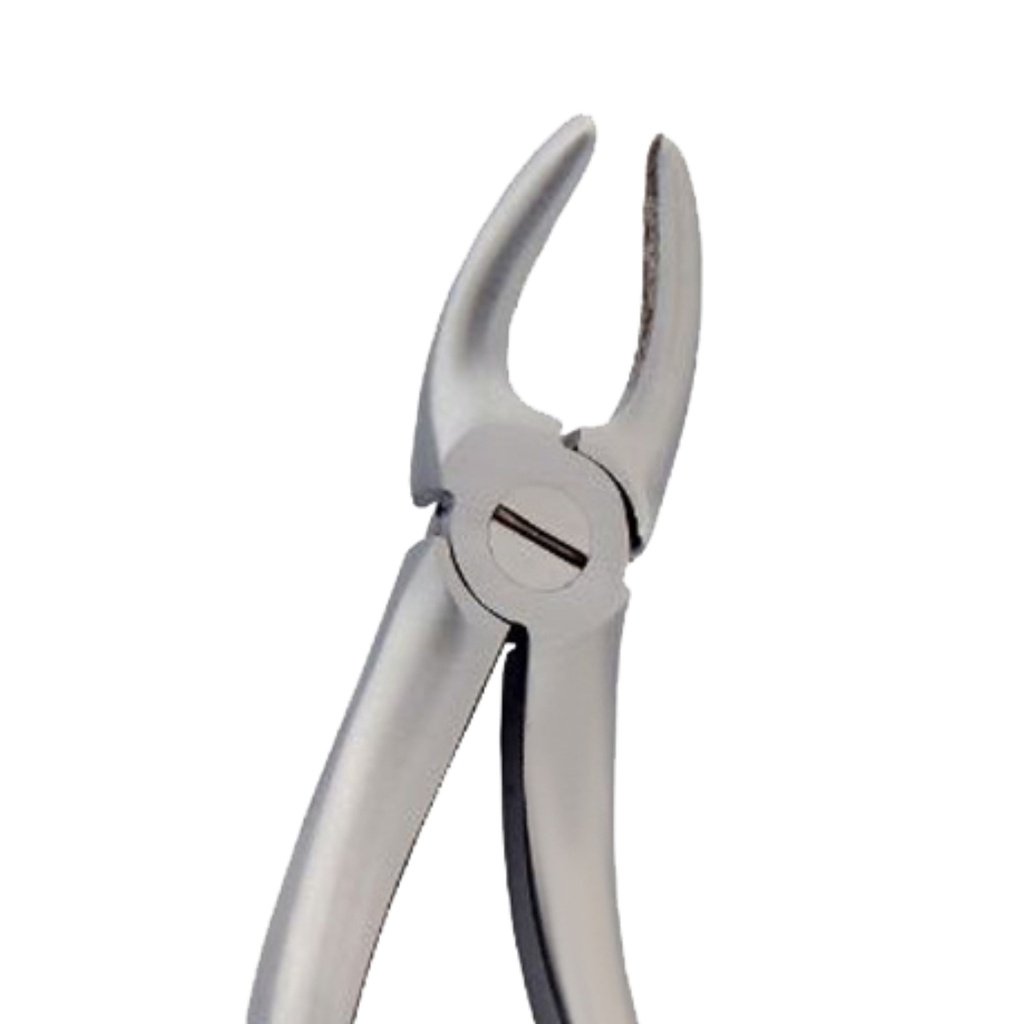 Fig. 99. Hertz (Lower Molars)