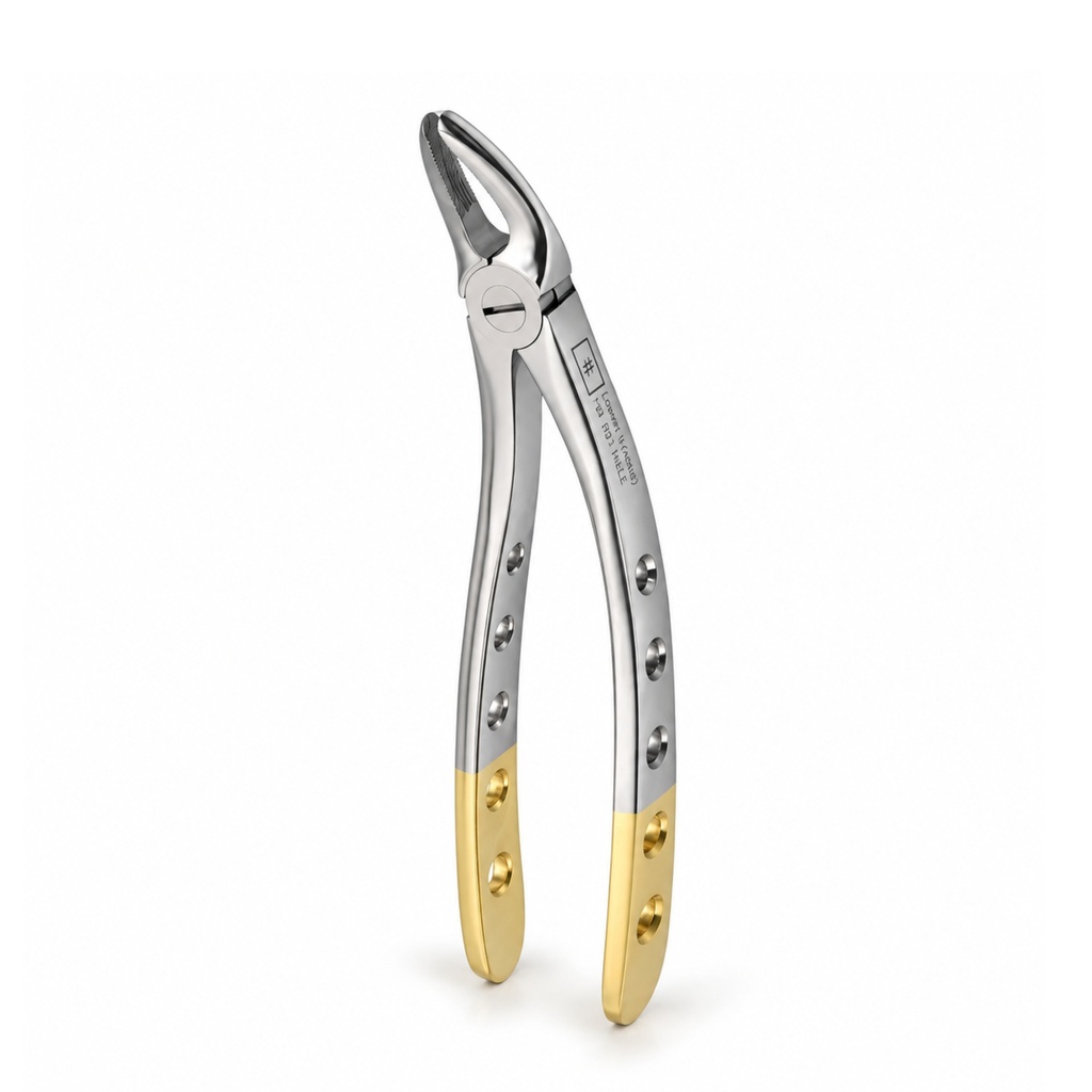 Hertz (Lower Molars) | Diamond Extraction Forcep | ErgoDenta