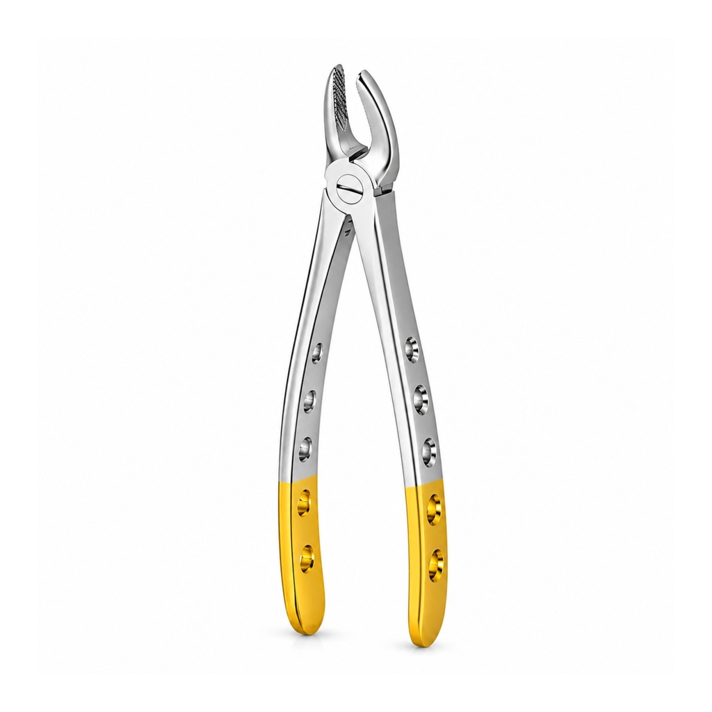 Hertz (Lower Molars) | Diamond Extraction Forcep | ErgoDenta