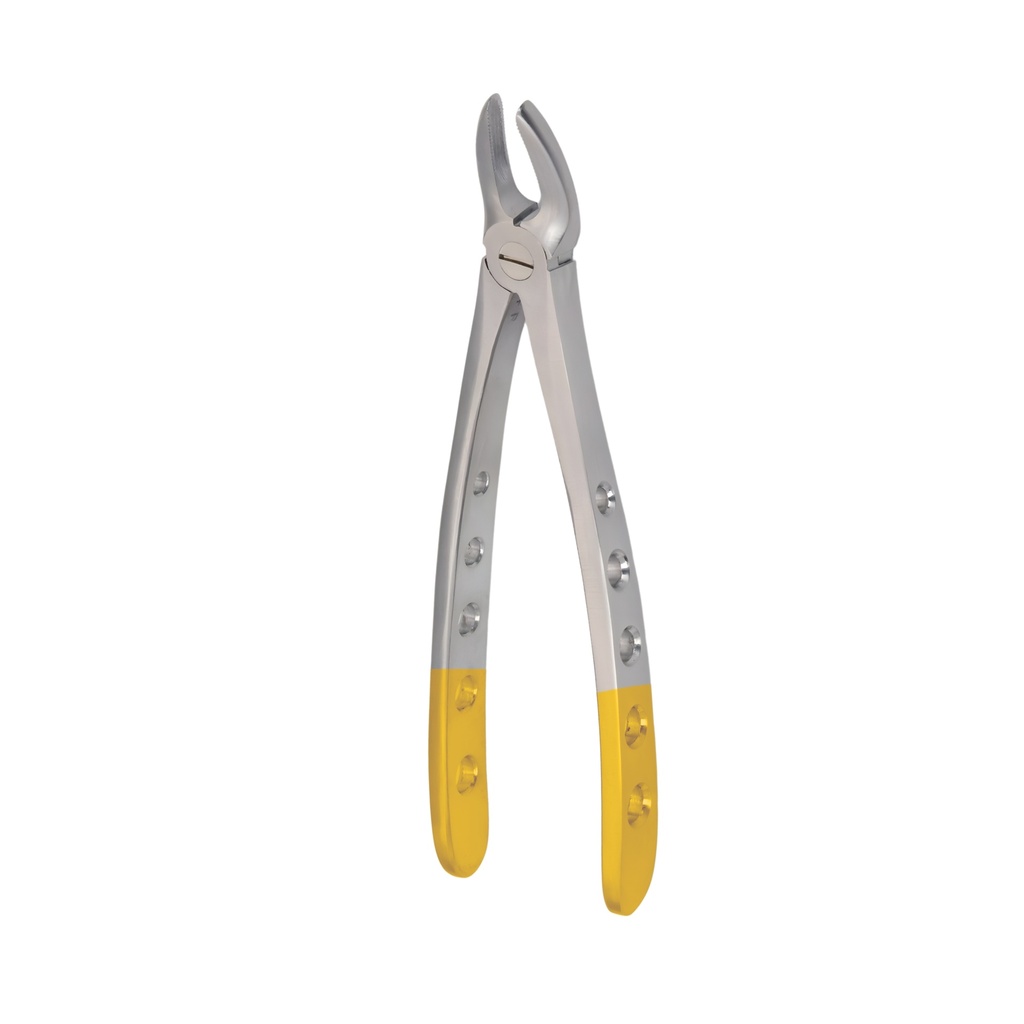 Hertz (Lower Molars) | Diamond Extraction Forcep | ErgoDenta