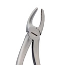 Fig. 99. Hertz (Lower Molars)