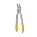 Hertz (Lower Molars) | Diamond Extraction Forcep | ErgoDenta