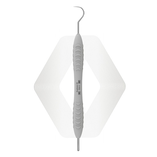 Explorer 23 — ErgoX