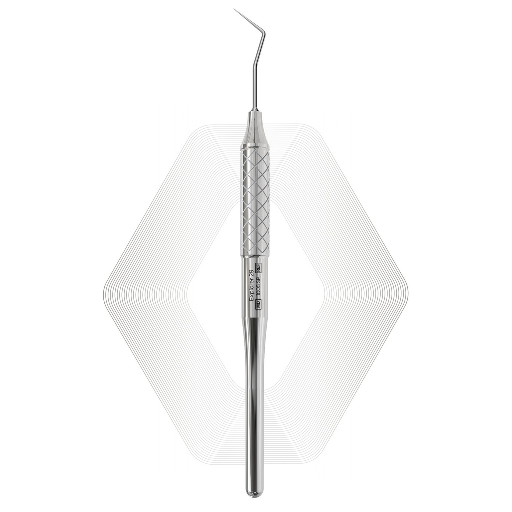 Explorer 29 | ErgoDenta