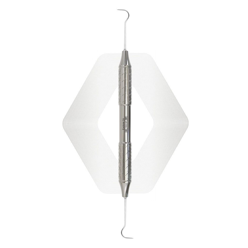 Explorer 2A | ErgoDenta