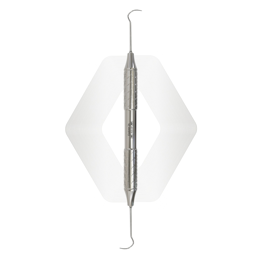 Explorer 2A | ErgoX®