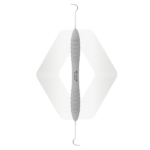 Explorer 2A — ErgoX
